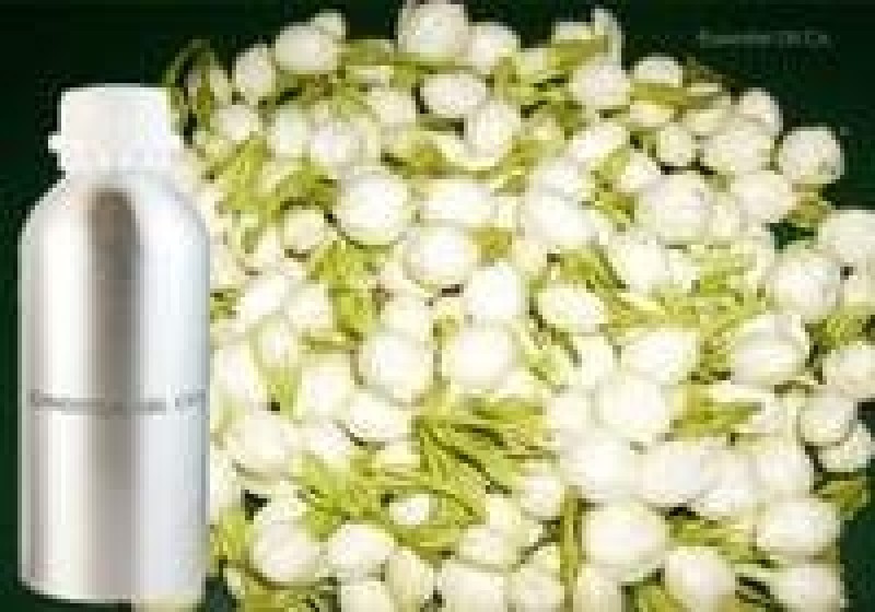 jesmin oil