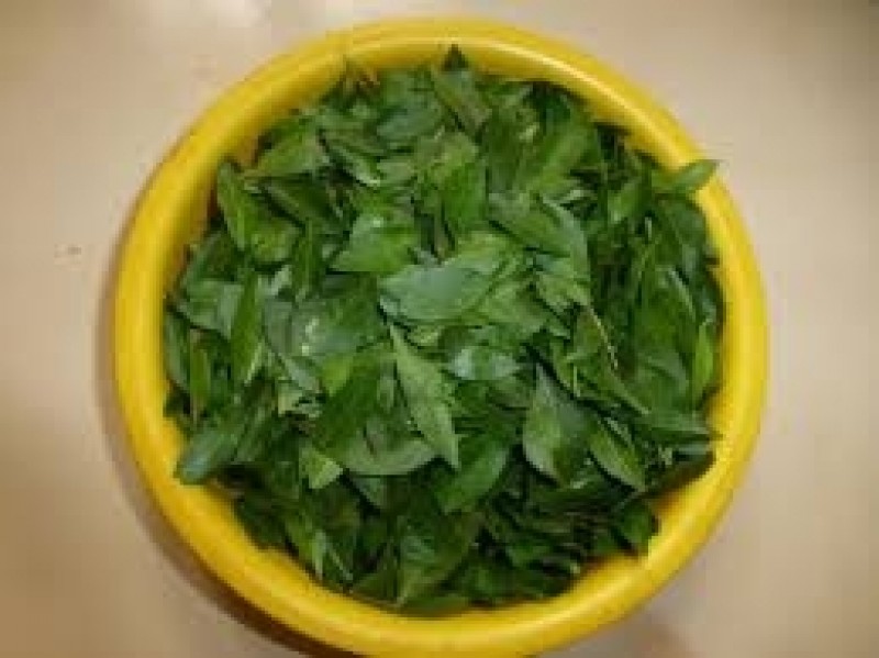 mahandi patta