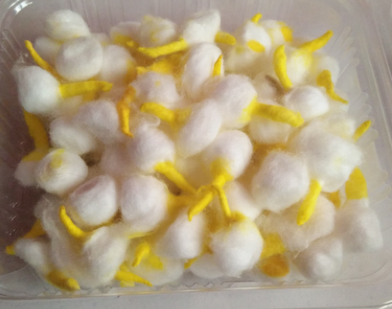 GOALBATTI (KESARI)
